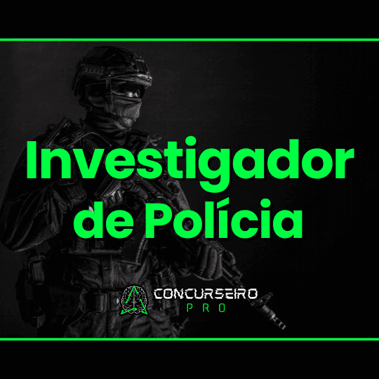 INVESTIGADOR DE POLÍCIA